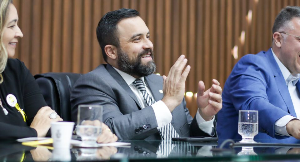 Presidente frente parlamentar