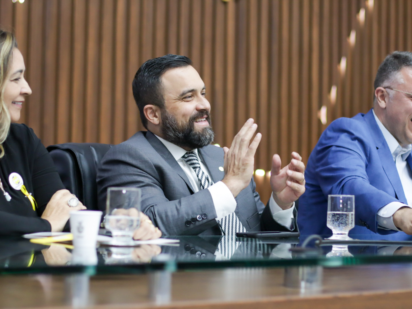 Presidente frente parlamentar